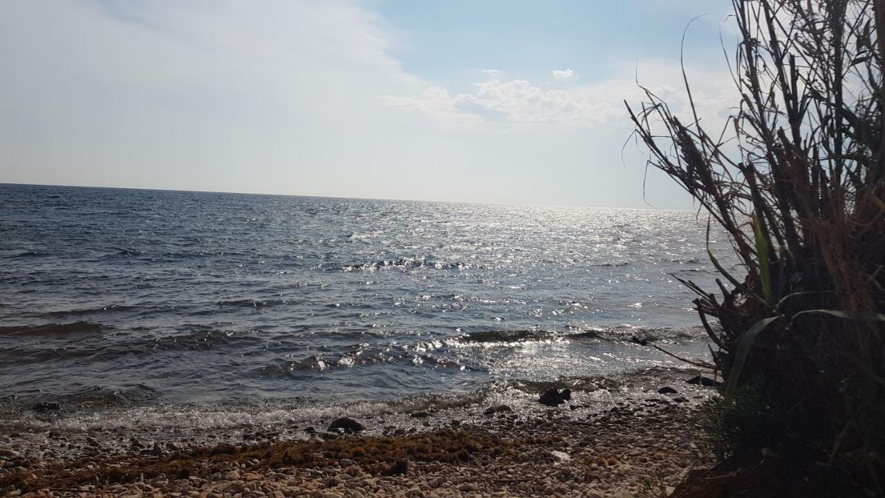 The Village Novigrad  Luaran gambar